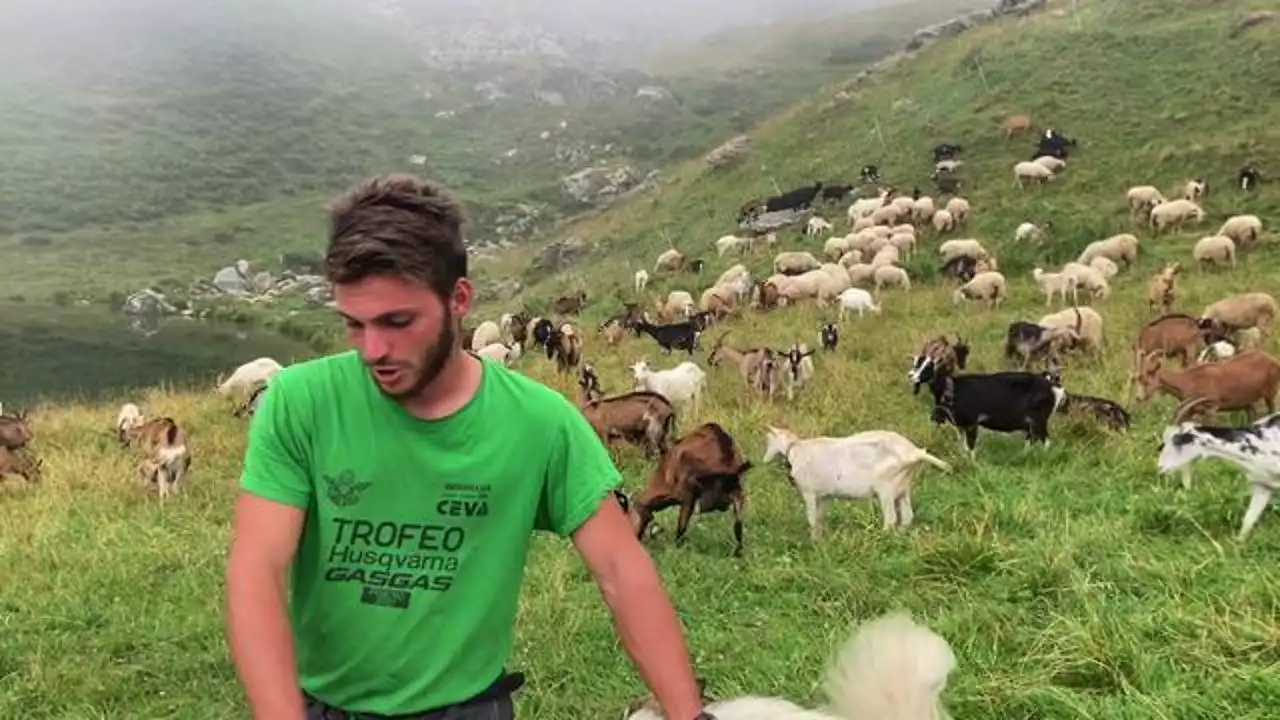 Matteo, il giovane pastore che ogni giorno difende il suo gregge dai lupi