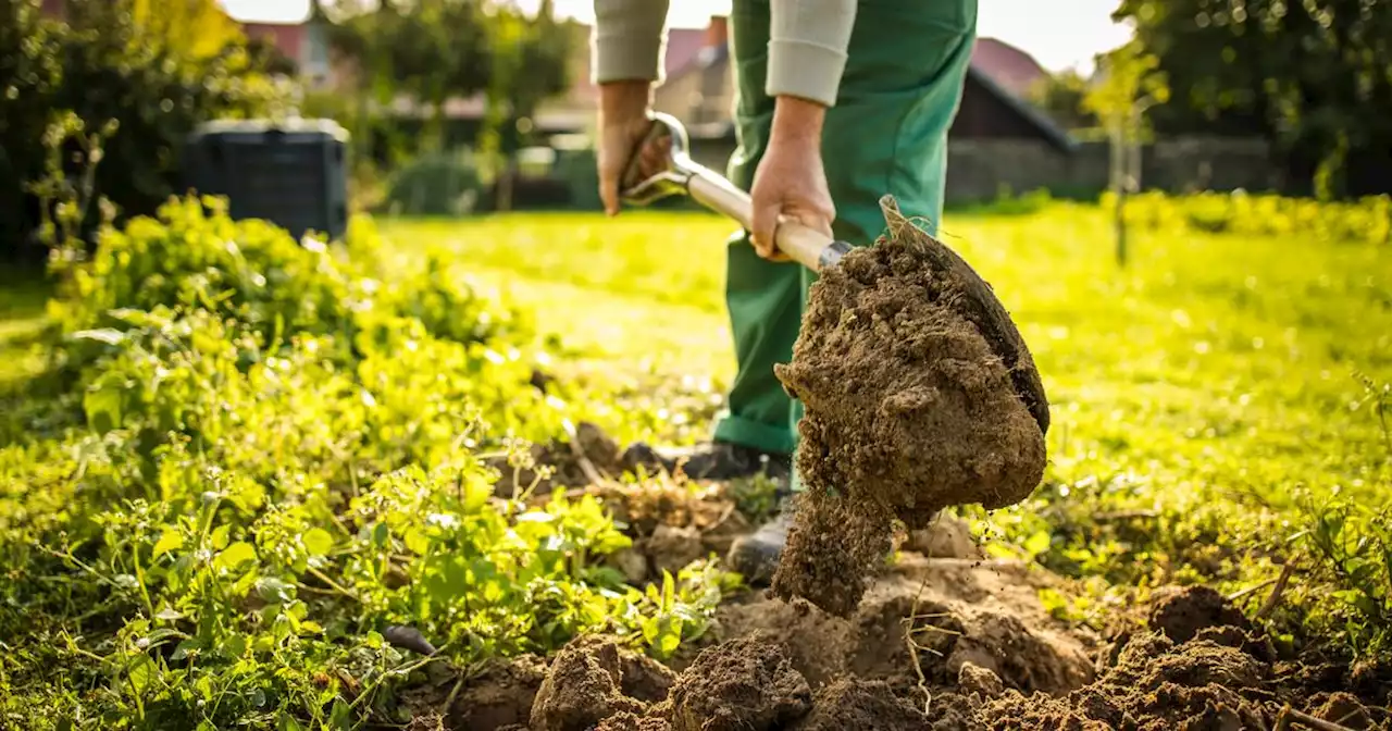 Sécheresse dans les Alpes-Maritimes : une dérogation accordée aux agriculteurs pour l’arrosage des cultures hivernales