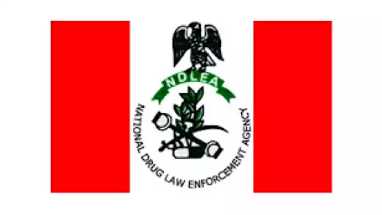 NDLEA Debunks Allegation Of Demanding N600,000 To Release Suspect