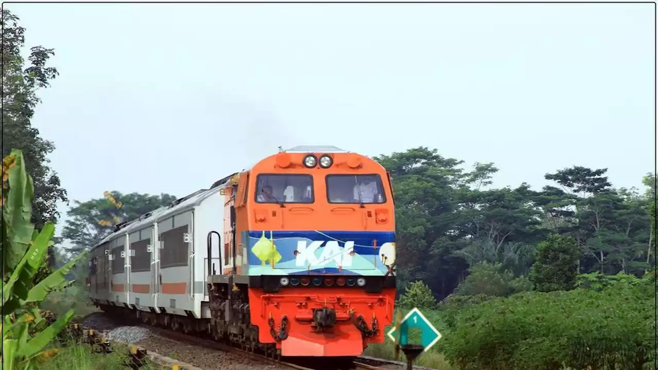 Teror Keranda Terbang di Terowongan Lawas Kereta Api Jawa Tengah