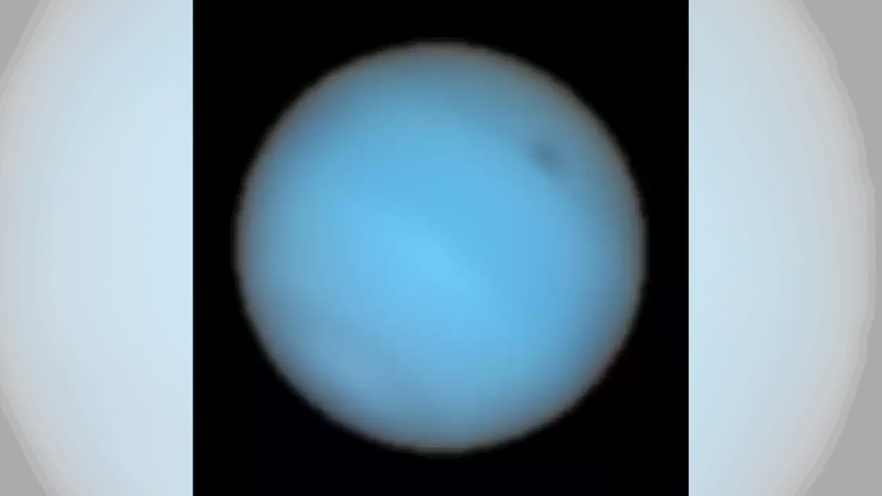 Neptune keeps growing enormous dark and bright spots, and scientists don't know why