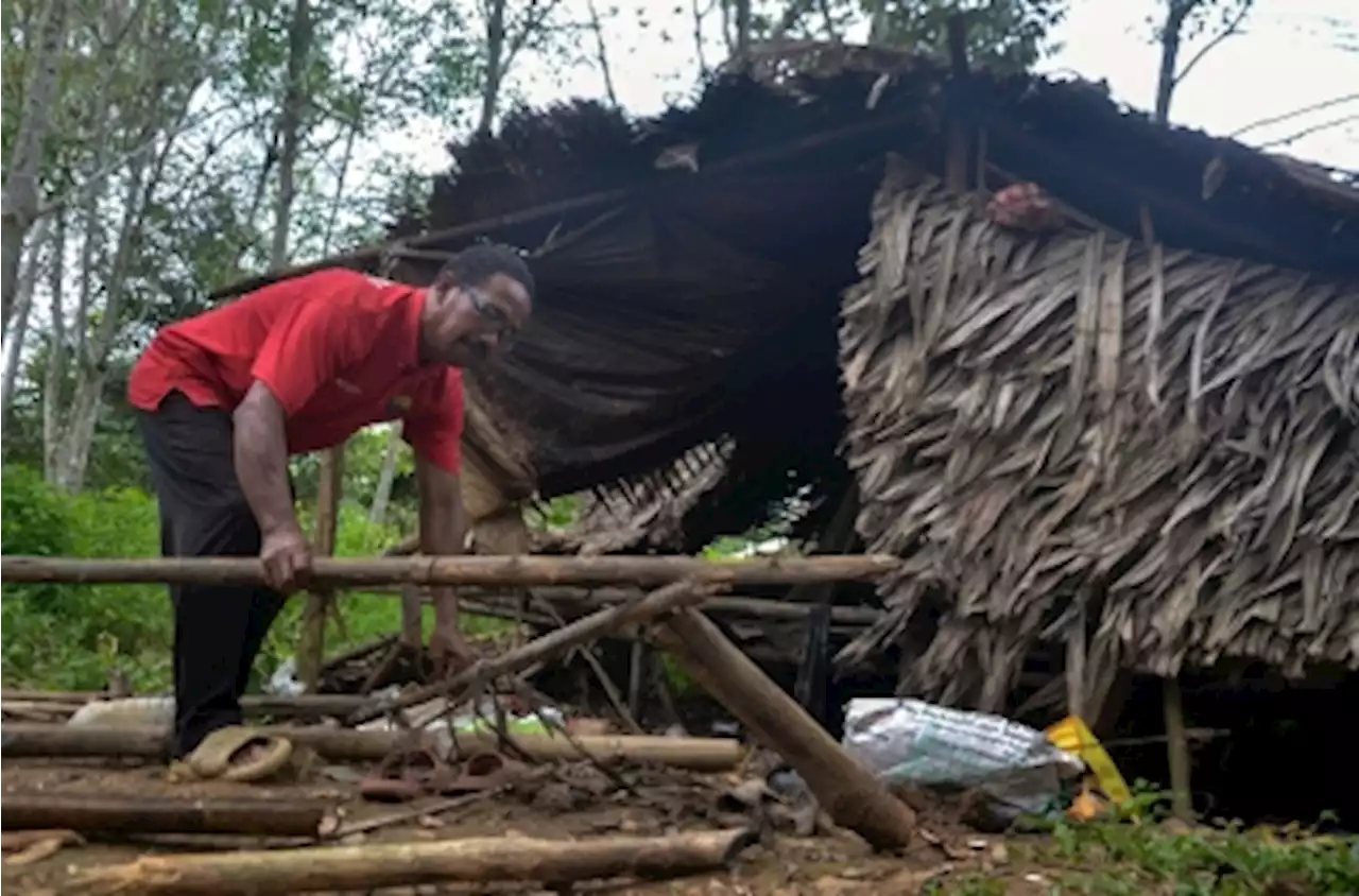 Elephant and calf terrorising Orang Asli community in Pos Lebir