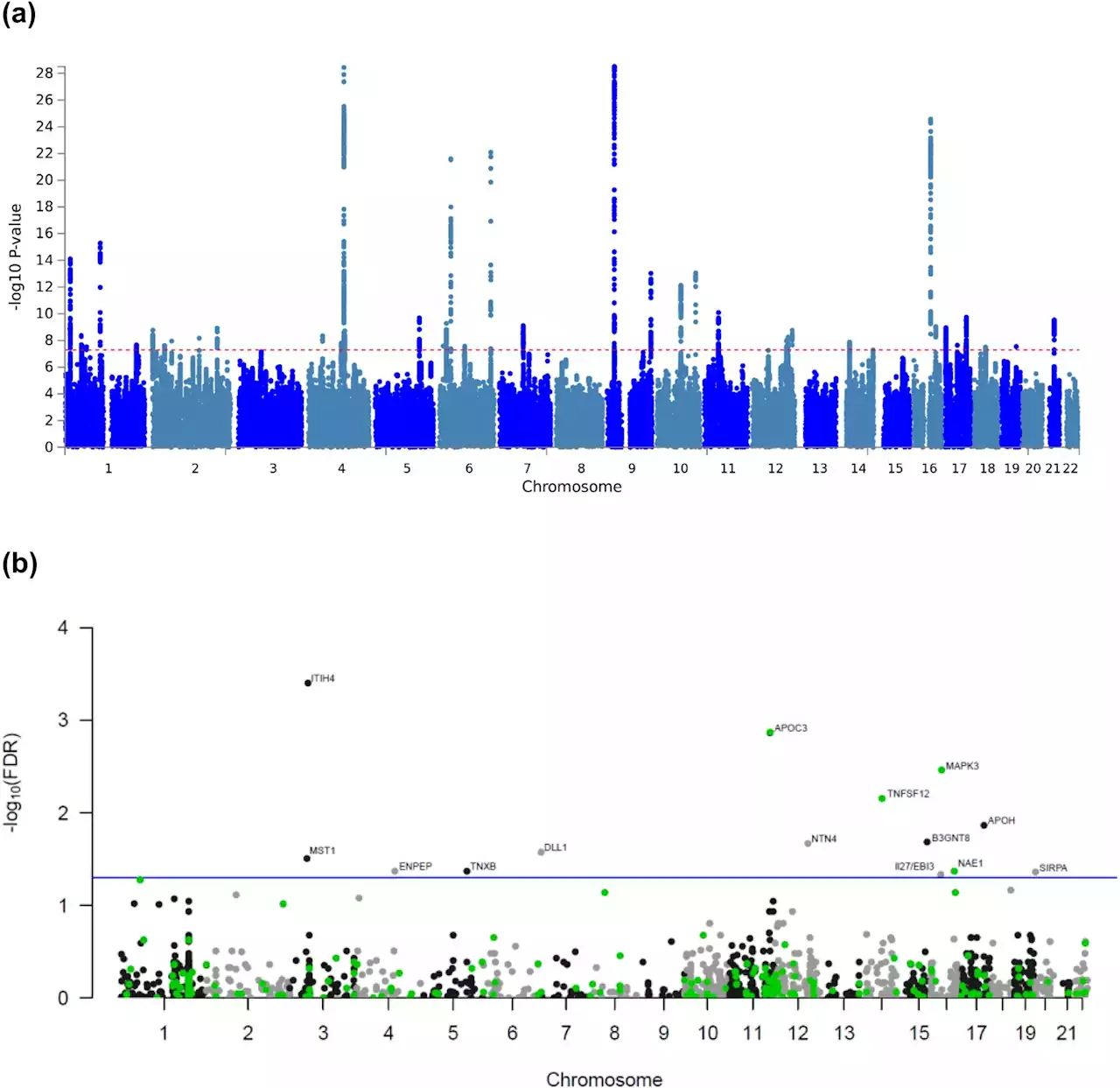 Study uncovers genetic risk factors for heart failure