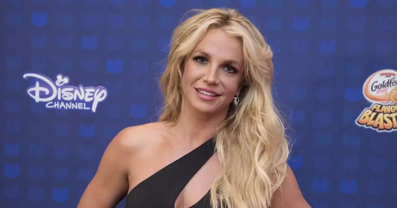 Britney Spears reveals gorgeous new puppy snow amid Sam Asghari divorce