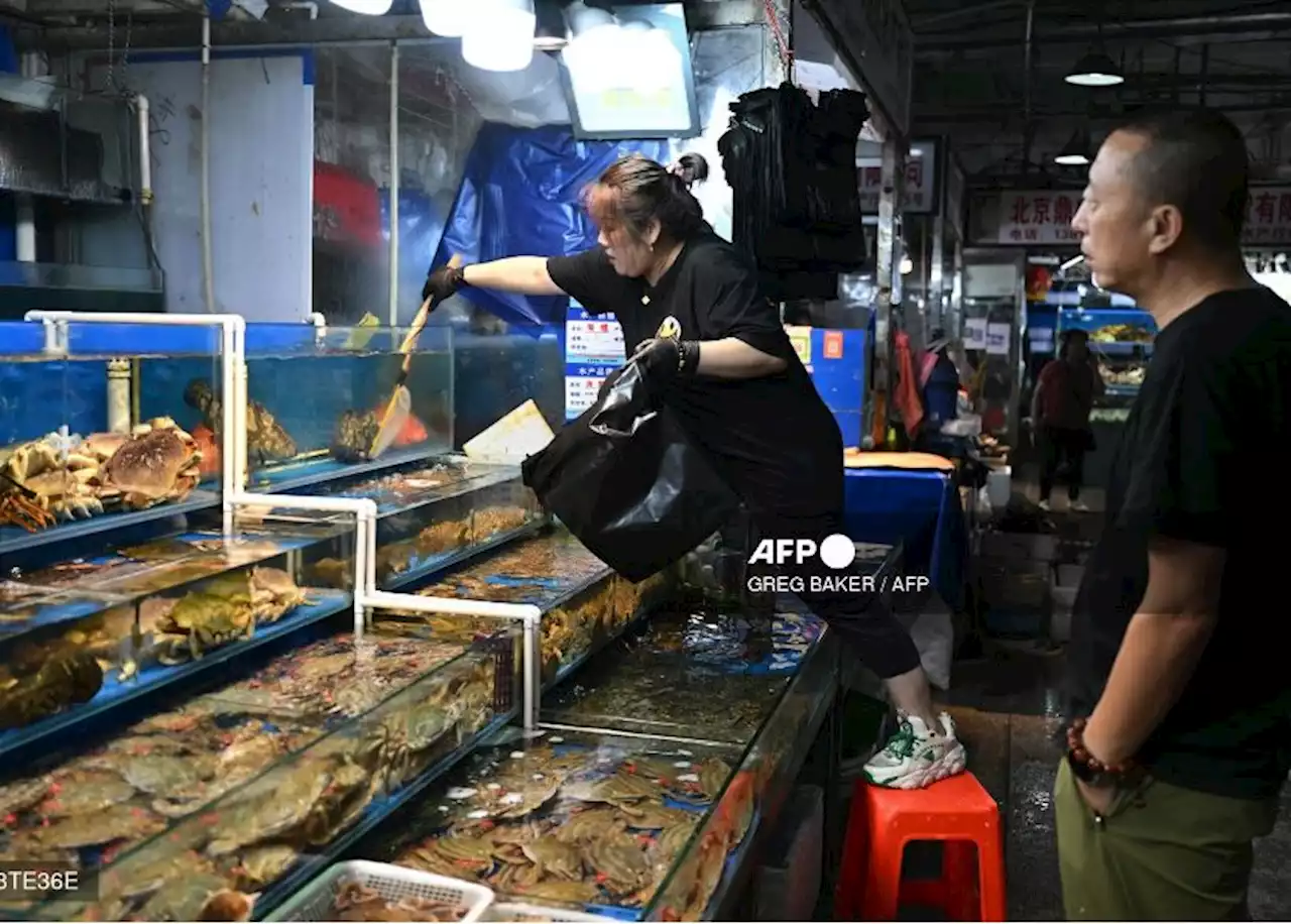 Beijing fishmongers worry as Japan begins Fukushima water release