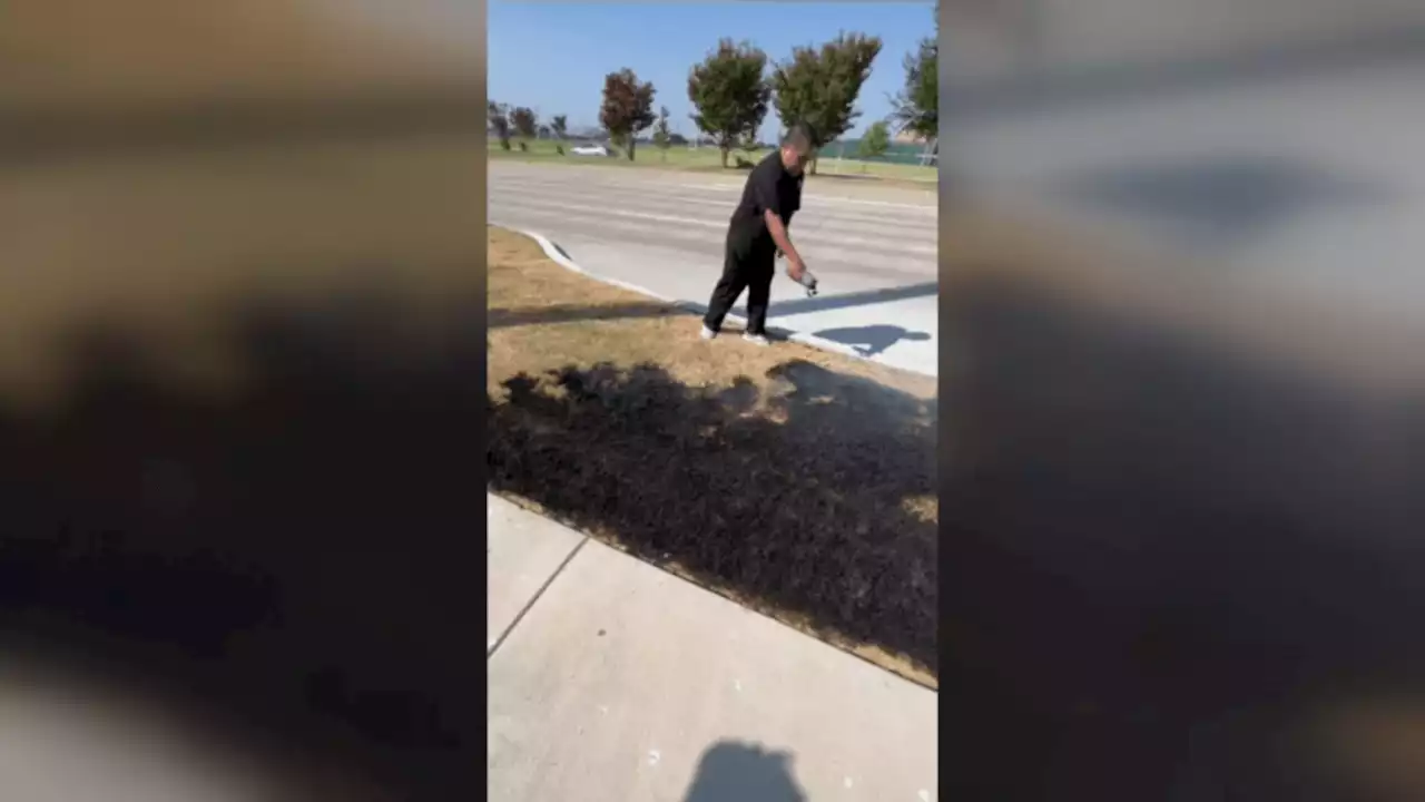 Bird sparks McKinney grass fire, citizens spring into action