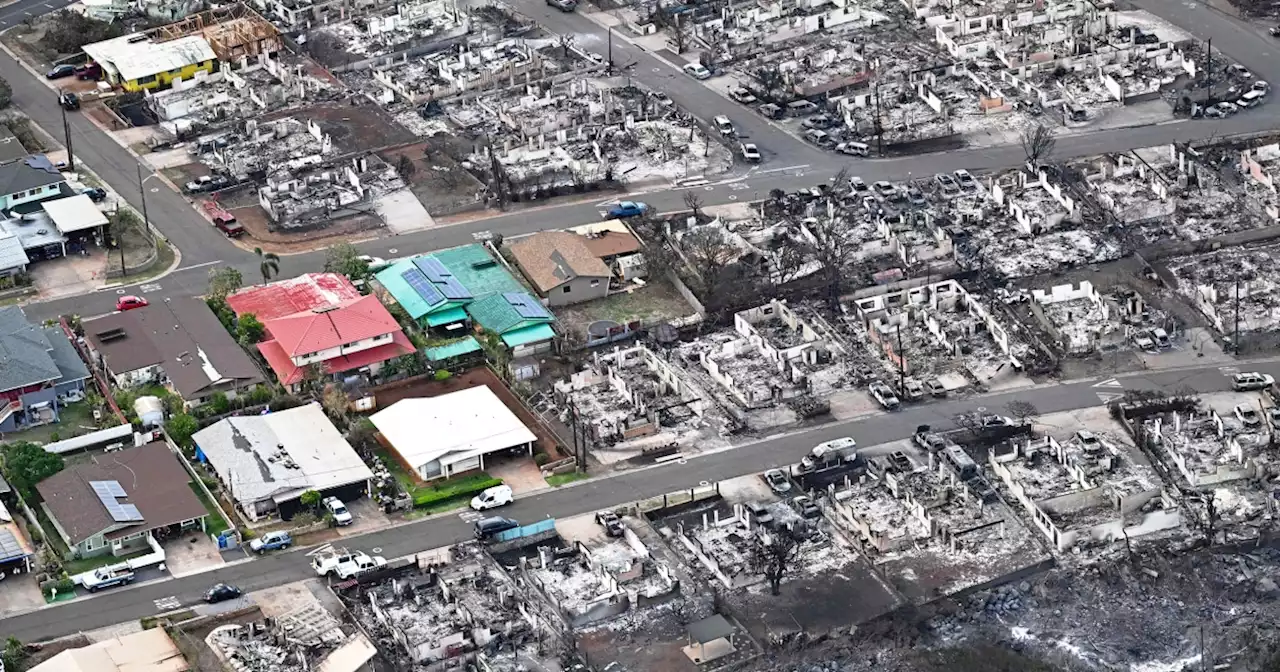 Some Maui residents have returned to live in their homes that were spared