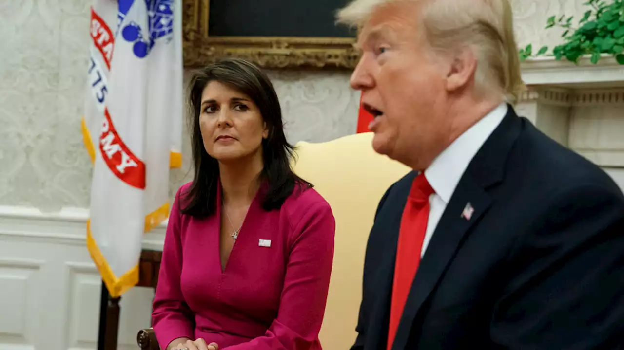 Nikki Haley on Trump: 'The most disliked politician in all of America'