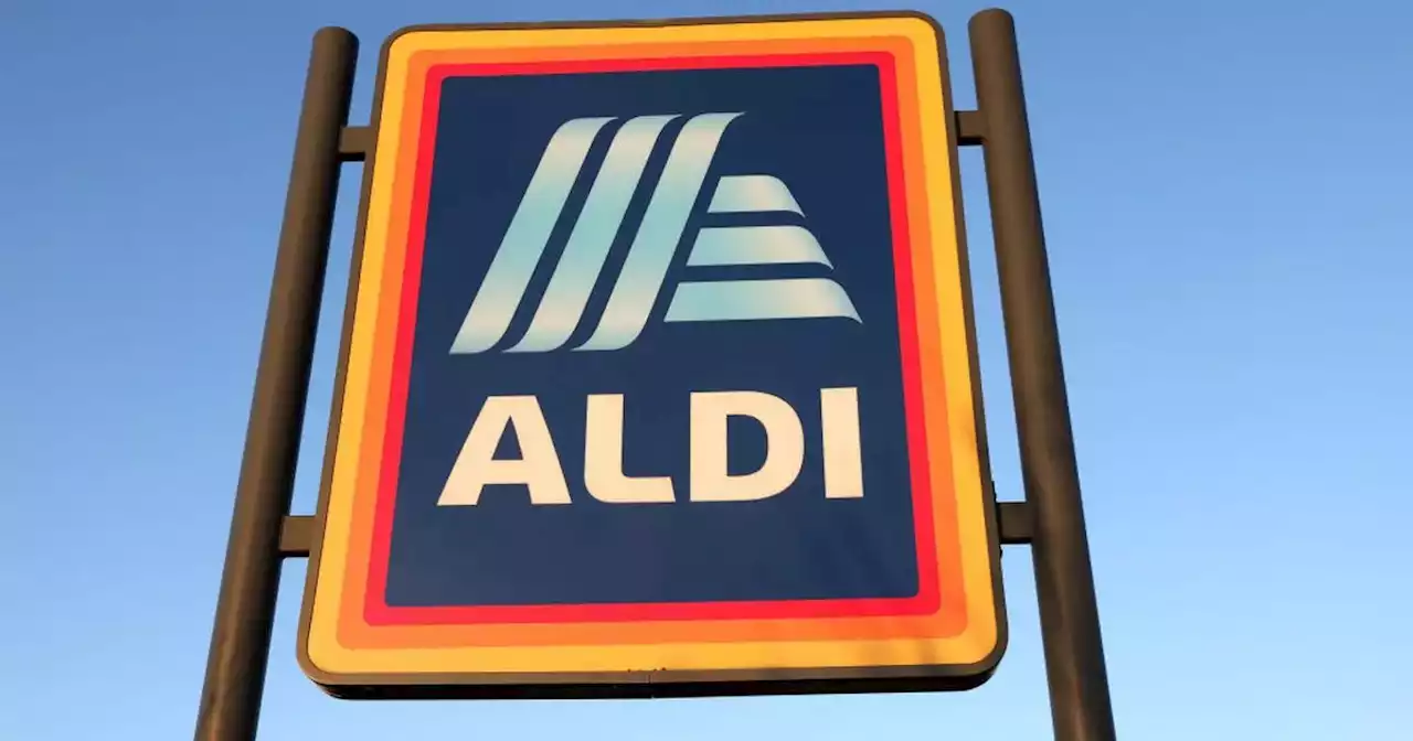 Aldi wants under-threat Wilko staff to work for it