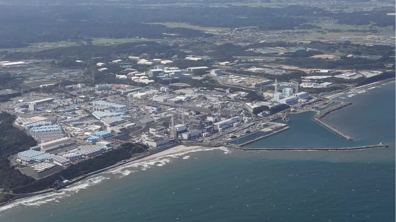 Worries over seafood safety mount as Japan releases Fukushima water into the Pacific