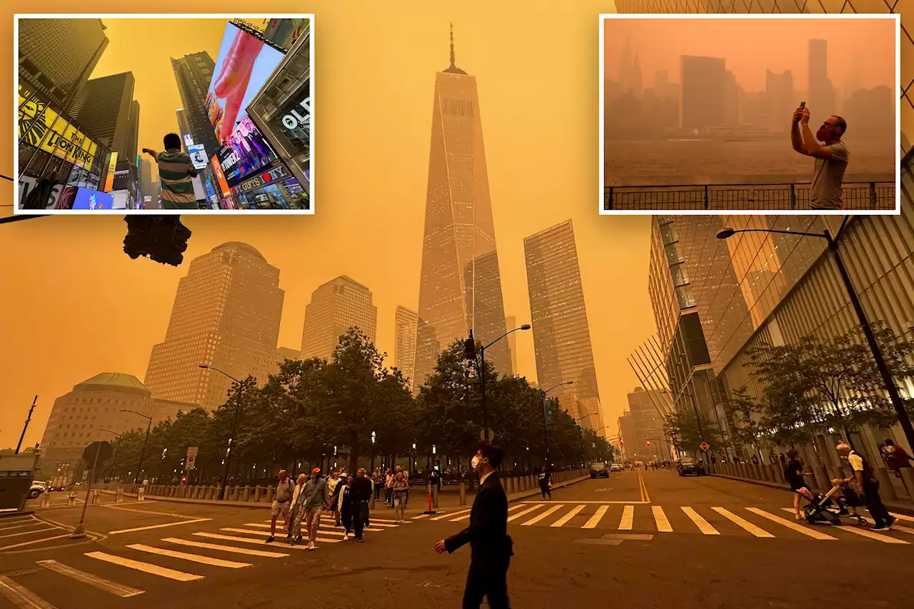 Wildfire smoke that turned NYC orange no worse than a bad pollen day: research