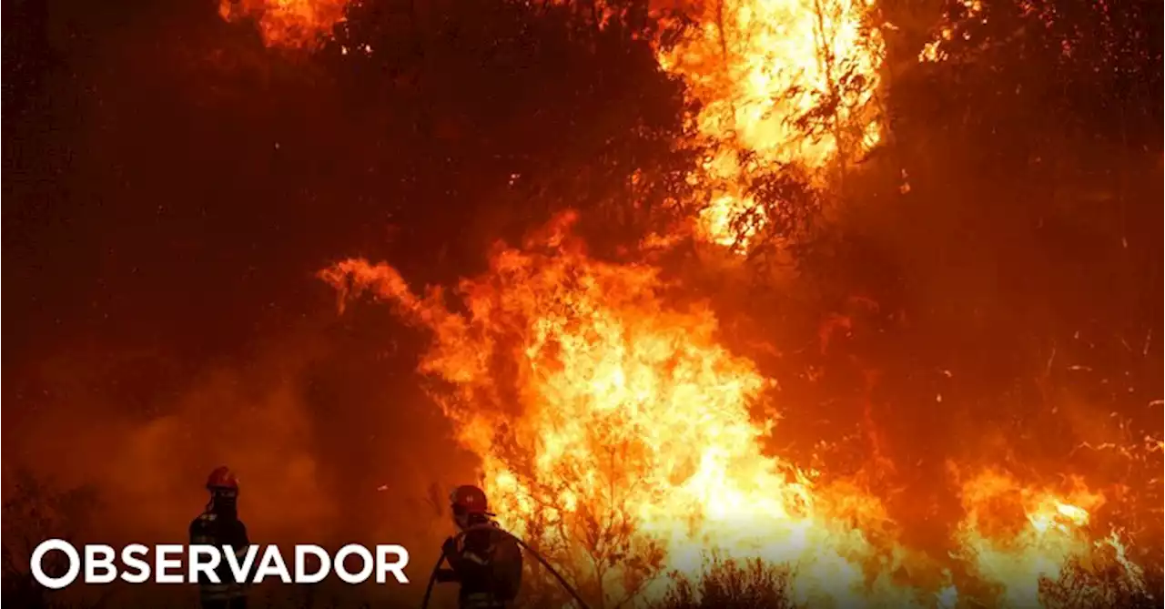 Mais de 90 concelhos de 14 distritos em perigo máximo de incêndio