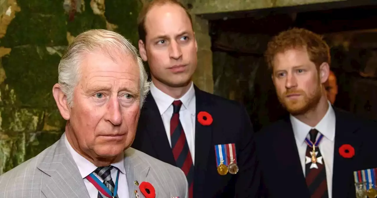 Prince Harry plans to return to UK but 'won't see Charles or William'