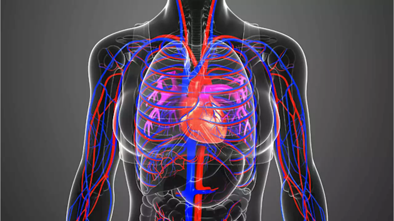 Vasculite: quali sono i sintomi e le terapie?