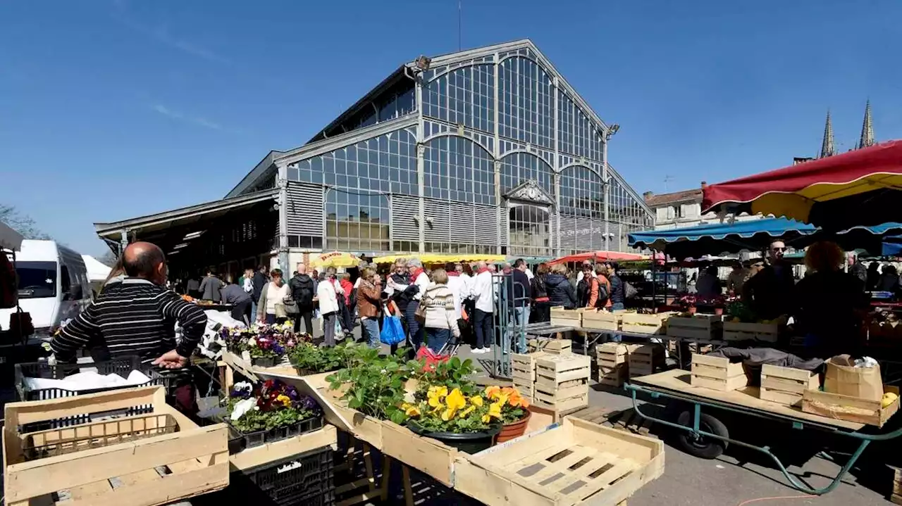 Le marché de Niort, Niort Plage, « Les Instantanées »…Que faire ce jeudi 24 août en Deux-Sèvres