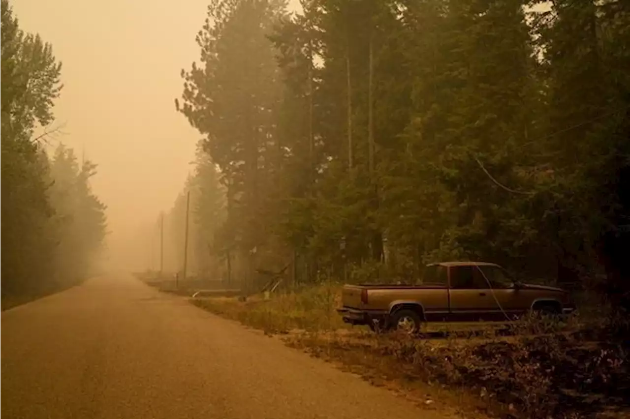 Protesters attempt to bypass RCMP wildfire blockade near Shuswap, B.C.