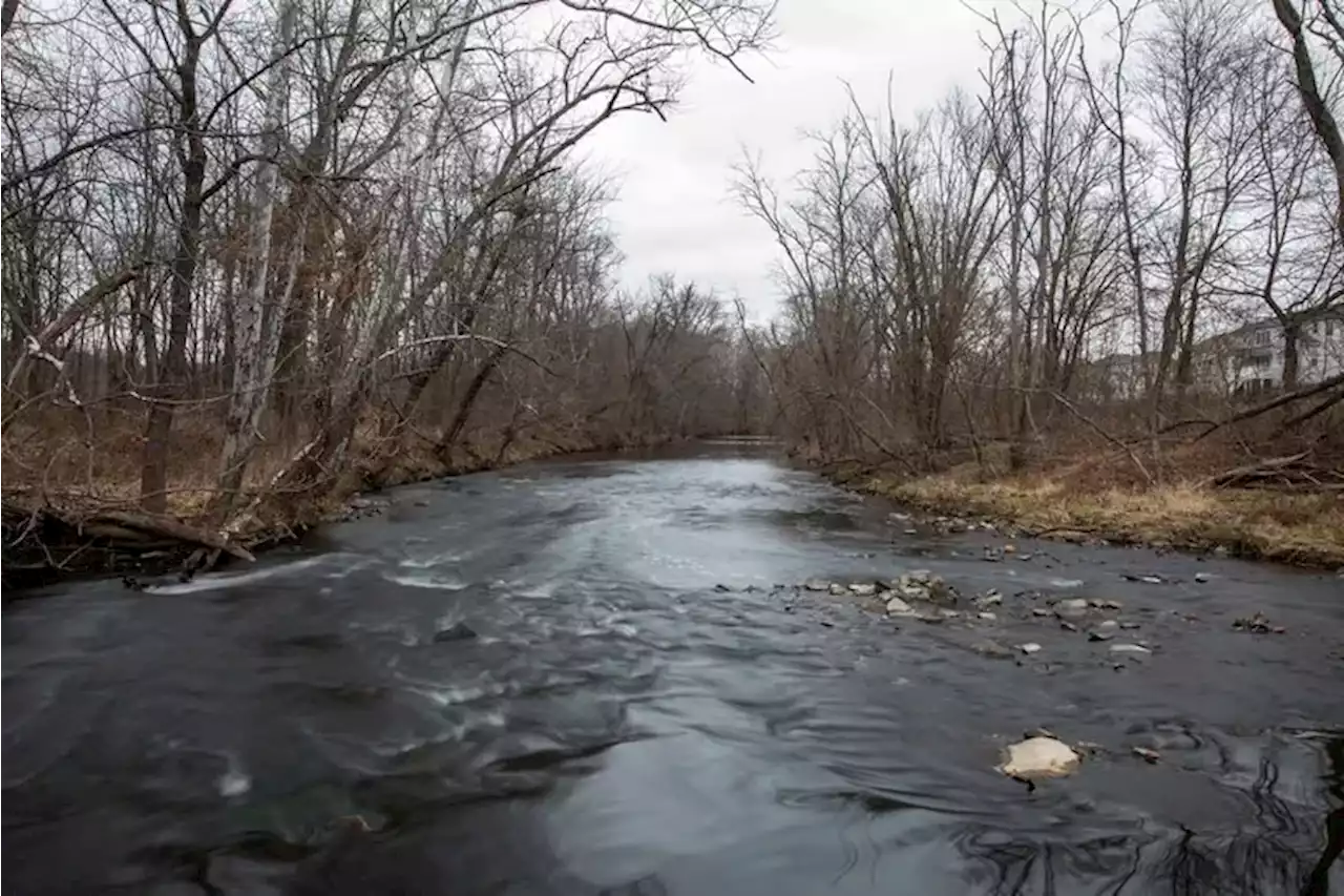 ‘Forever chemicals’ found in 76% of Pennsylvania streams sampled