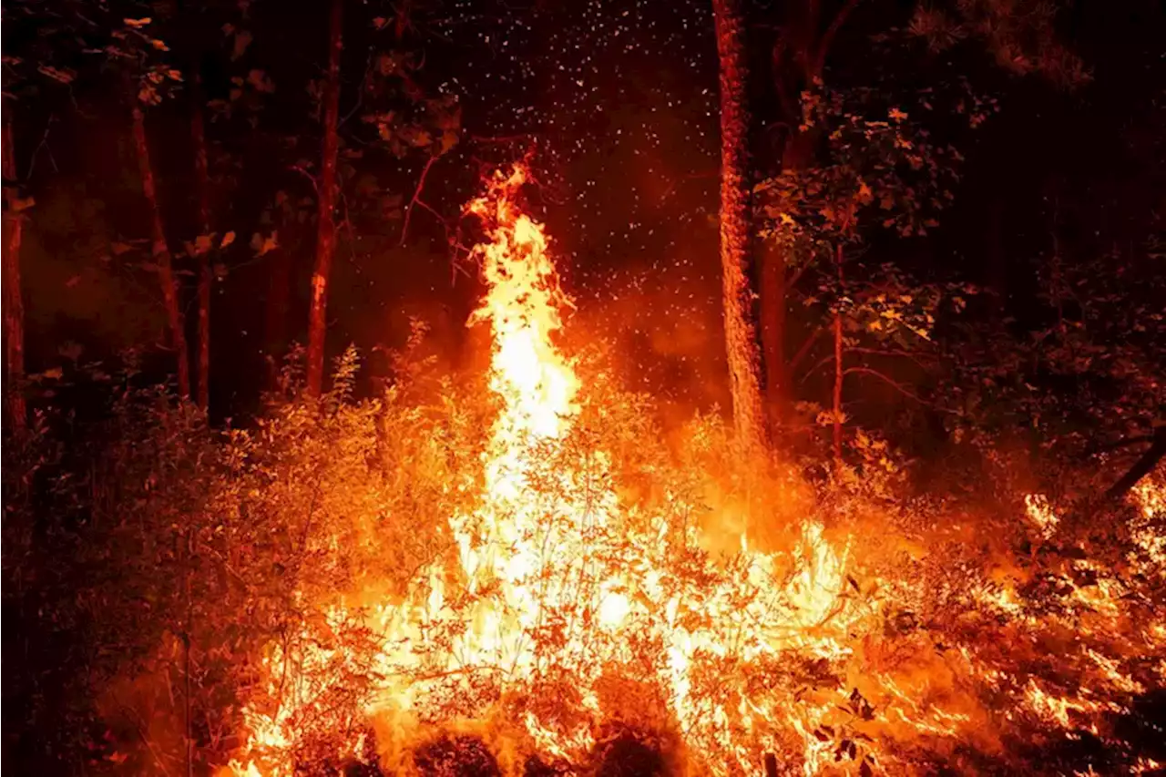 Smoke from South Jersey forest fire wafts across the Philly area