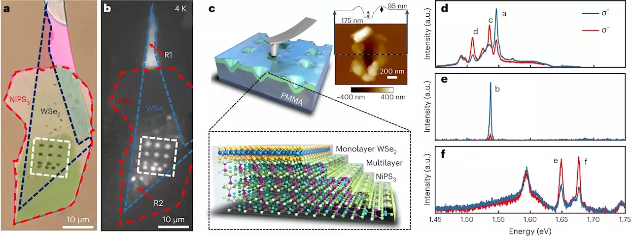 New quantum device generates single photons and encodes information