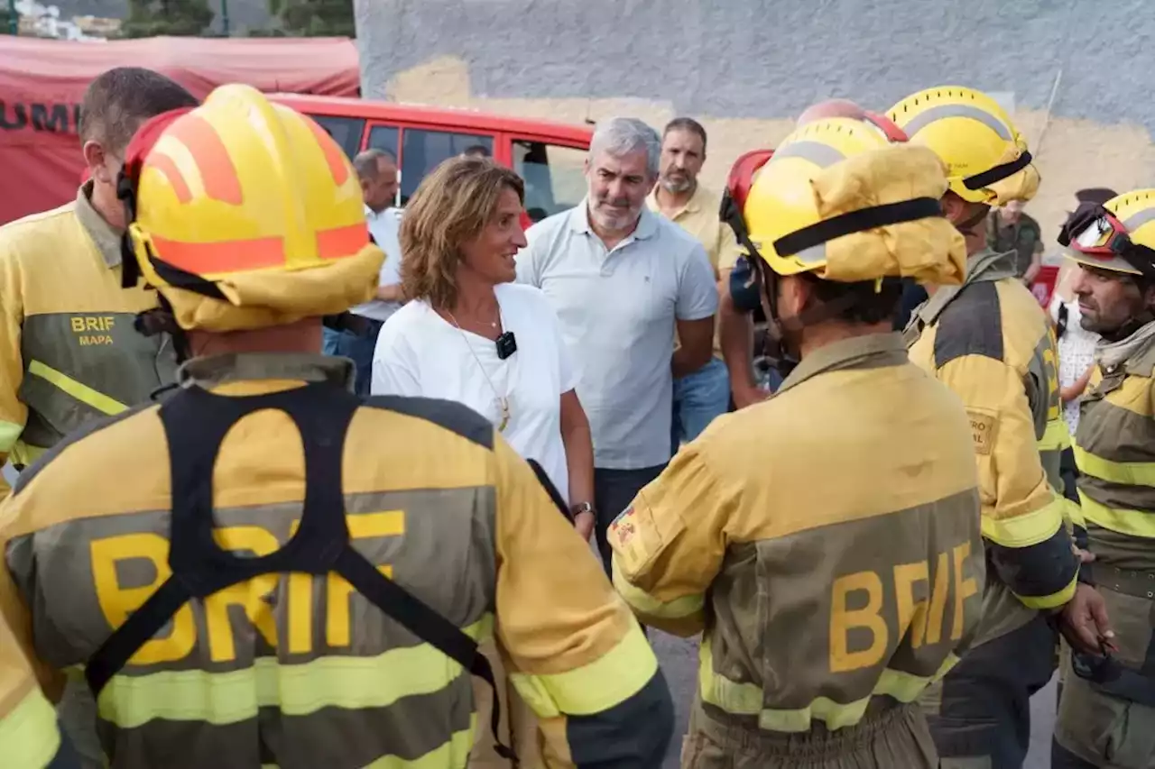 El Gobierno canario prevé dar por estabilizado el incendio de Tenerife este jueves