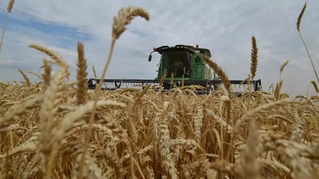 La Turquie espère relancer l'accord sur les céréales ukrainiennes