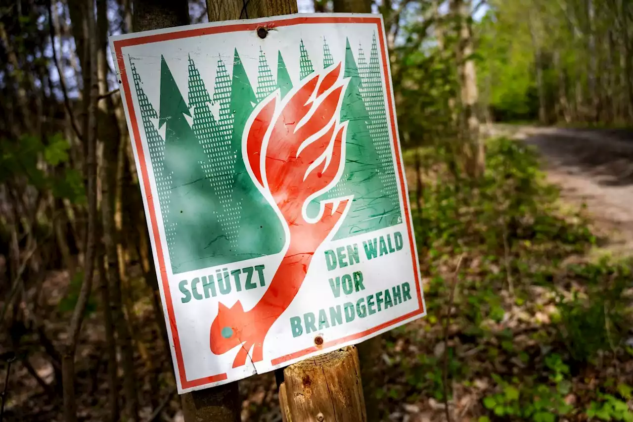 Waldbrandgefahr in Brandenburg nimmt im Süden zu