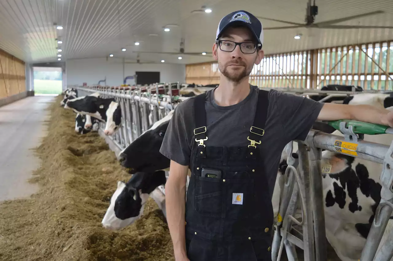 The cows come home: P.E.I. dairy farm welcomes back herd after repairing Fiona damage