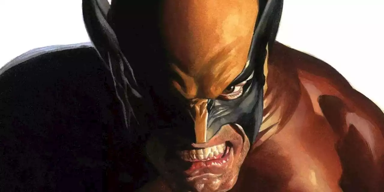 Wolverine Cosplay Brings Back His Unused Alex Ross Redesign