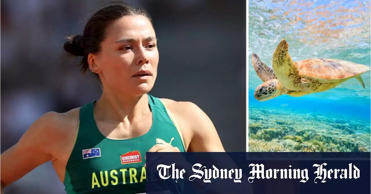 Flapping like a baby sea turtle: How Catriona Bisset is dashing for 800m glory