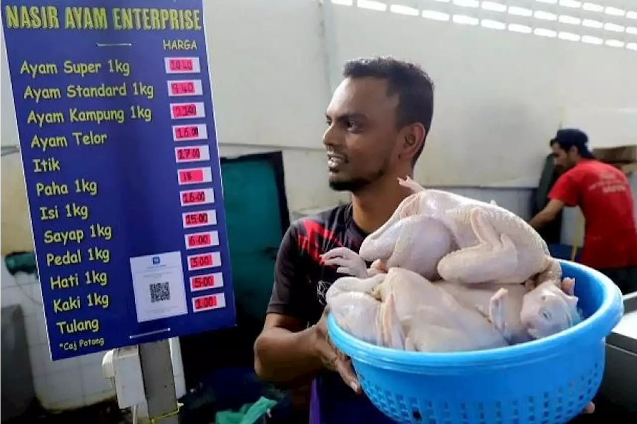 Chicken in Malaysia being sold below ceiling price set by government