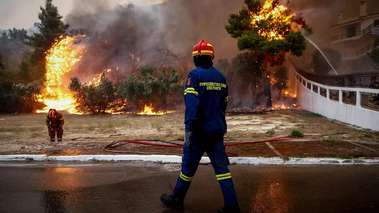 Hunderte Feuer in Griechenland: Ermittlungen wegen Verdacht auf organisierte Brandstiftung