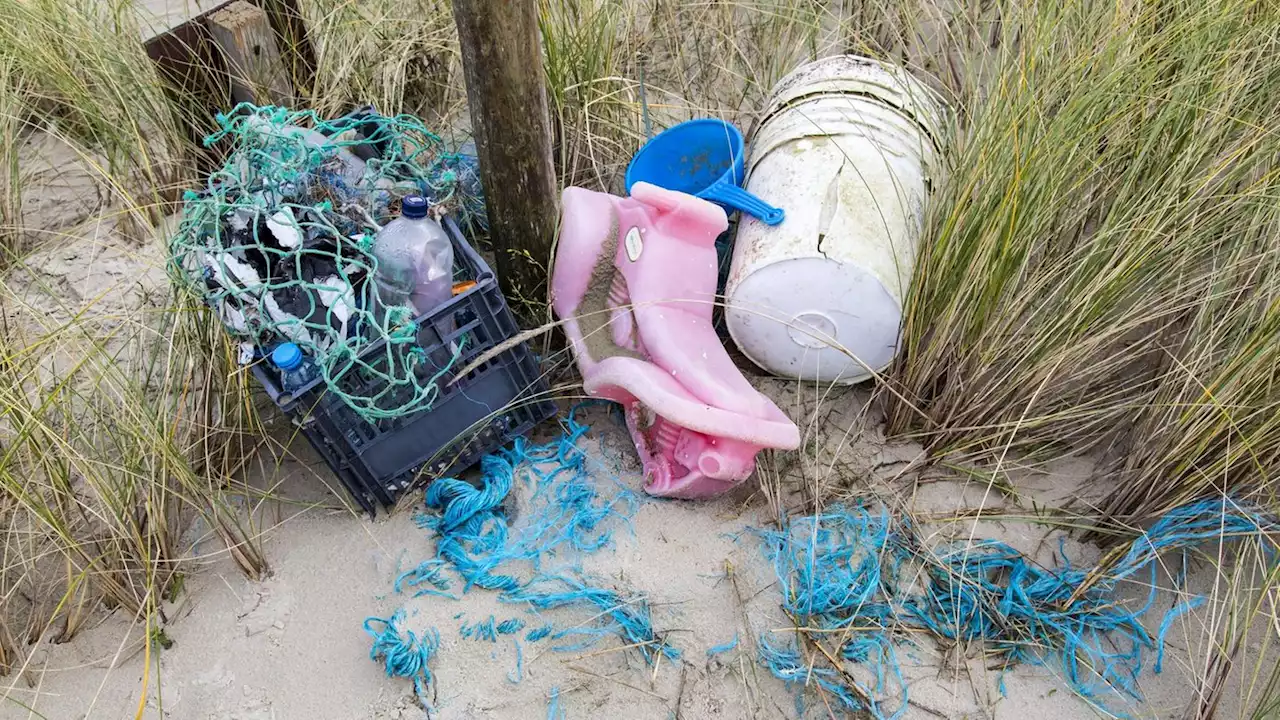 Plastikmüll: Wie Meere und Strände zur Müllkippe werden