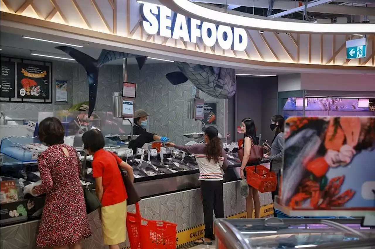 No immediate ban on Japan seafood in Singapore after Fukushima nuclear wastewater release