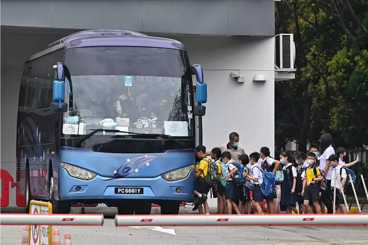 School bus fares set to rise again in 2024; MOE allows increase to cover higher costs