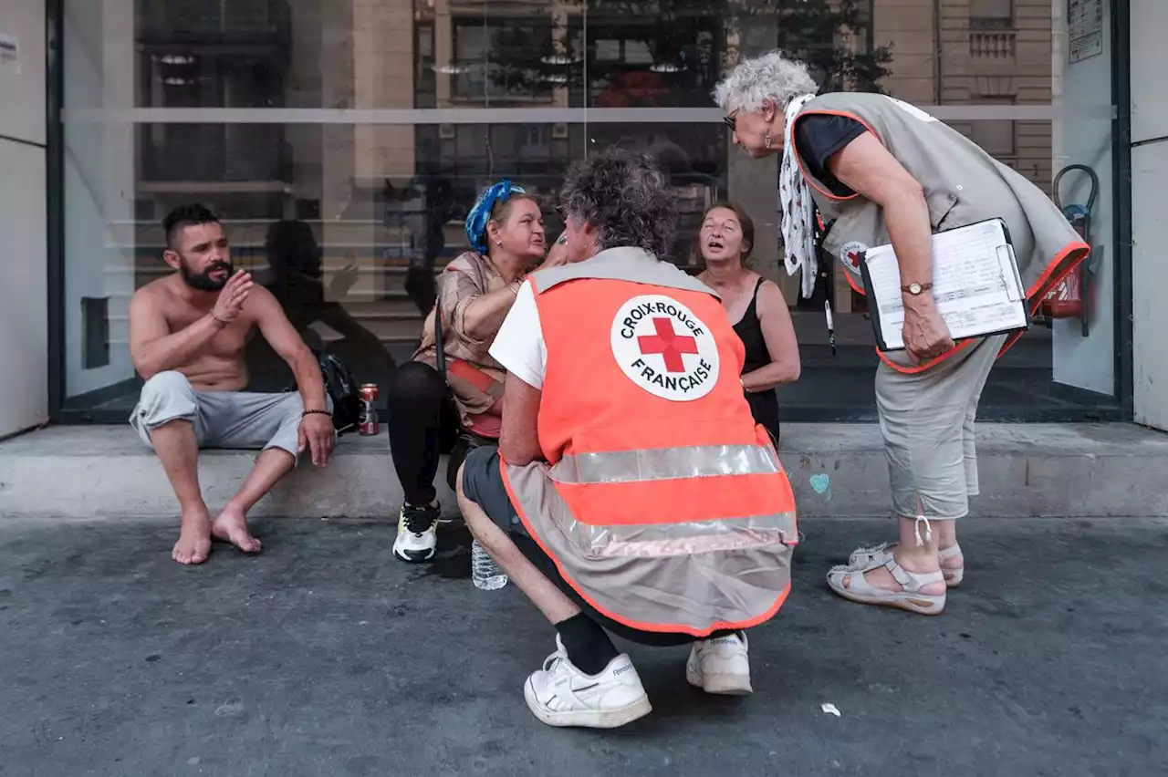 Maraude caniculaire à Pau : « Ils étaient bien plus affamés et assoiffés que d’habitude »