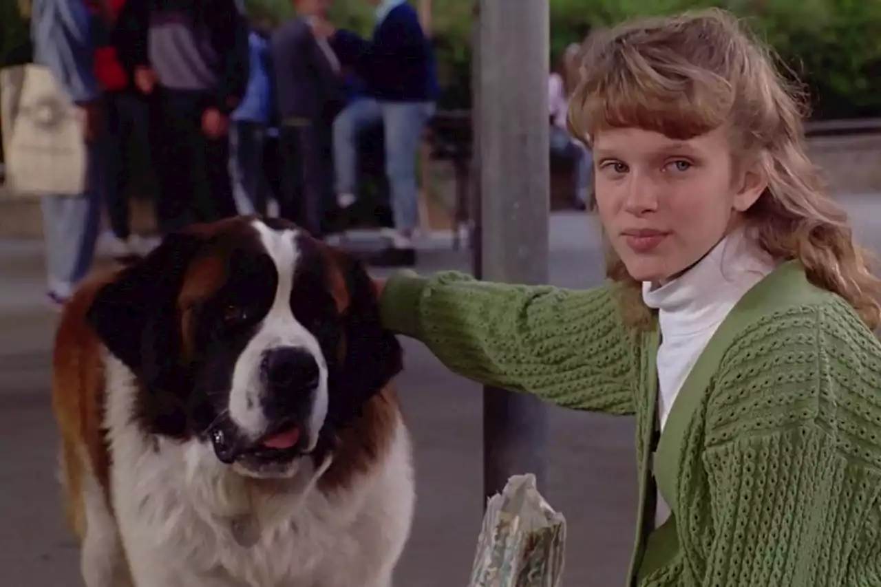 Beethoven: relembre os 8 filmes da franquia do cachorro