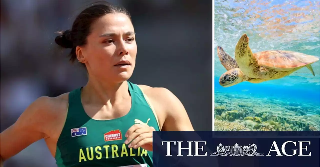 Flapping like a baby sea turtle: How Catriona Bisset is dashing for 800m glory