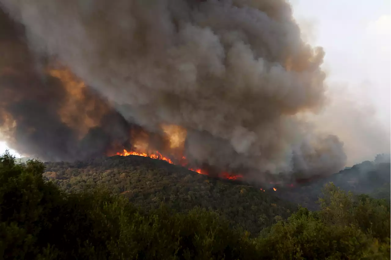 Firefighters in Greece Are Struggling to Battle The E.U.'s Biggest Wildfire Ever Recorded