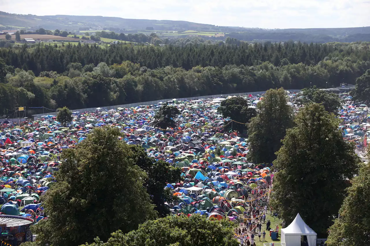 Electric Picnic Criticised For 'Excluding' Local Breweries From Festival