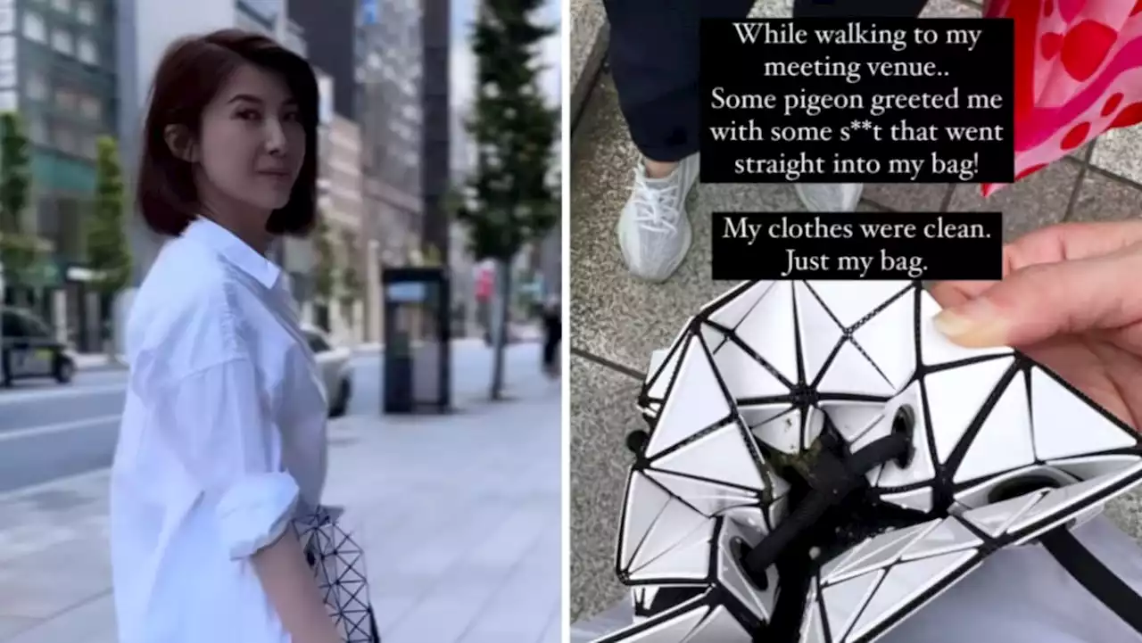 Jeanette Aw was walking in Tokyo when a pigeon pooped right in her designer bag