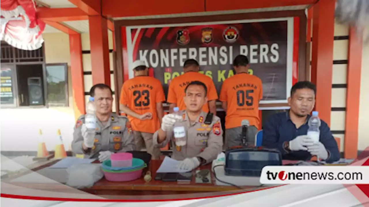 Polisi Gagalkan Penyelundupan 9.498 Ekor Benur di Bengkulu, 3 Orang Ditetapkan Tersangka