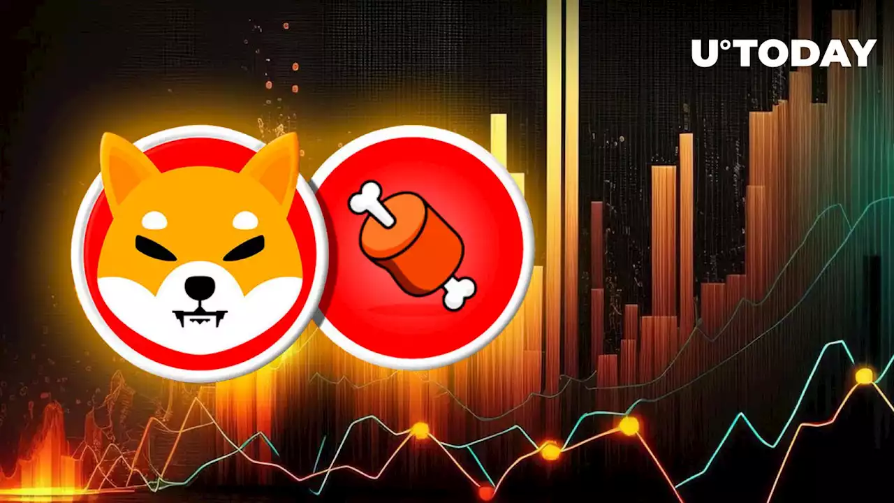 Shiba Inu Token BONE Booming 1,000% On-Chain Amid New Shibarium Update