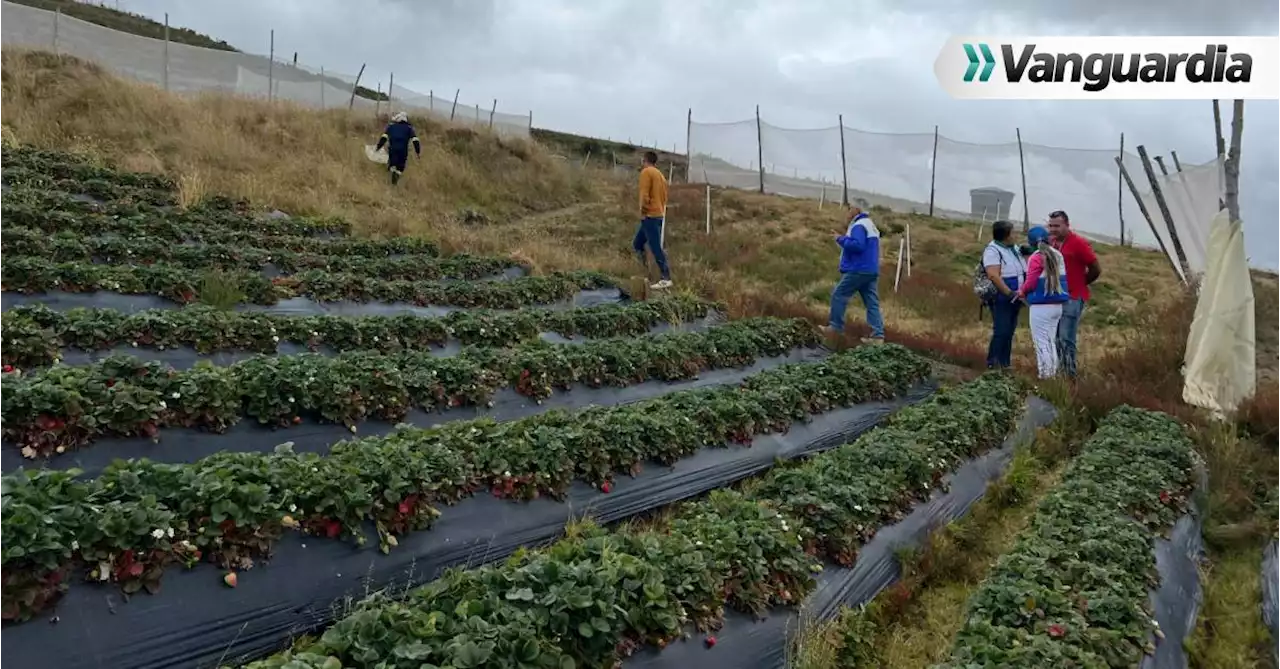 Negocios verdes en Santander recibieron composteras para crear abono ecológico