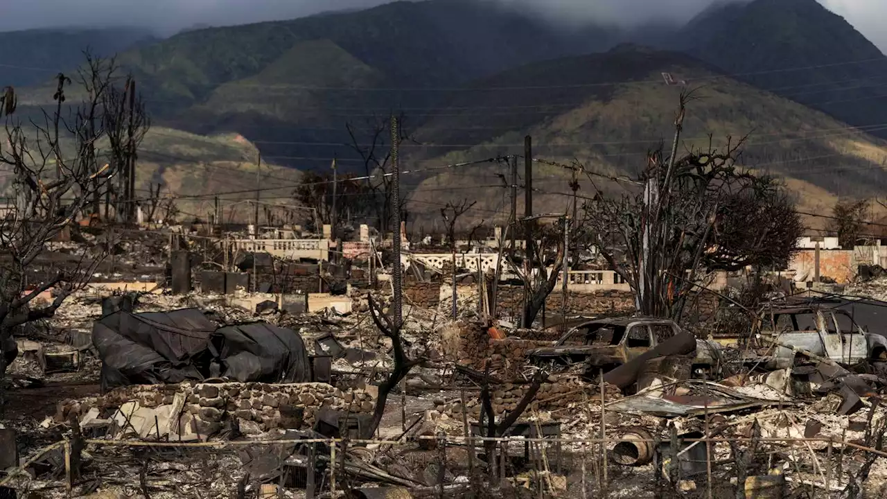 Maui wildfires renew tensions around water rights in a centuries-old conflict over sacred streams