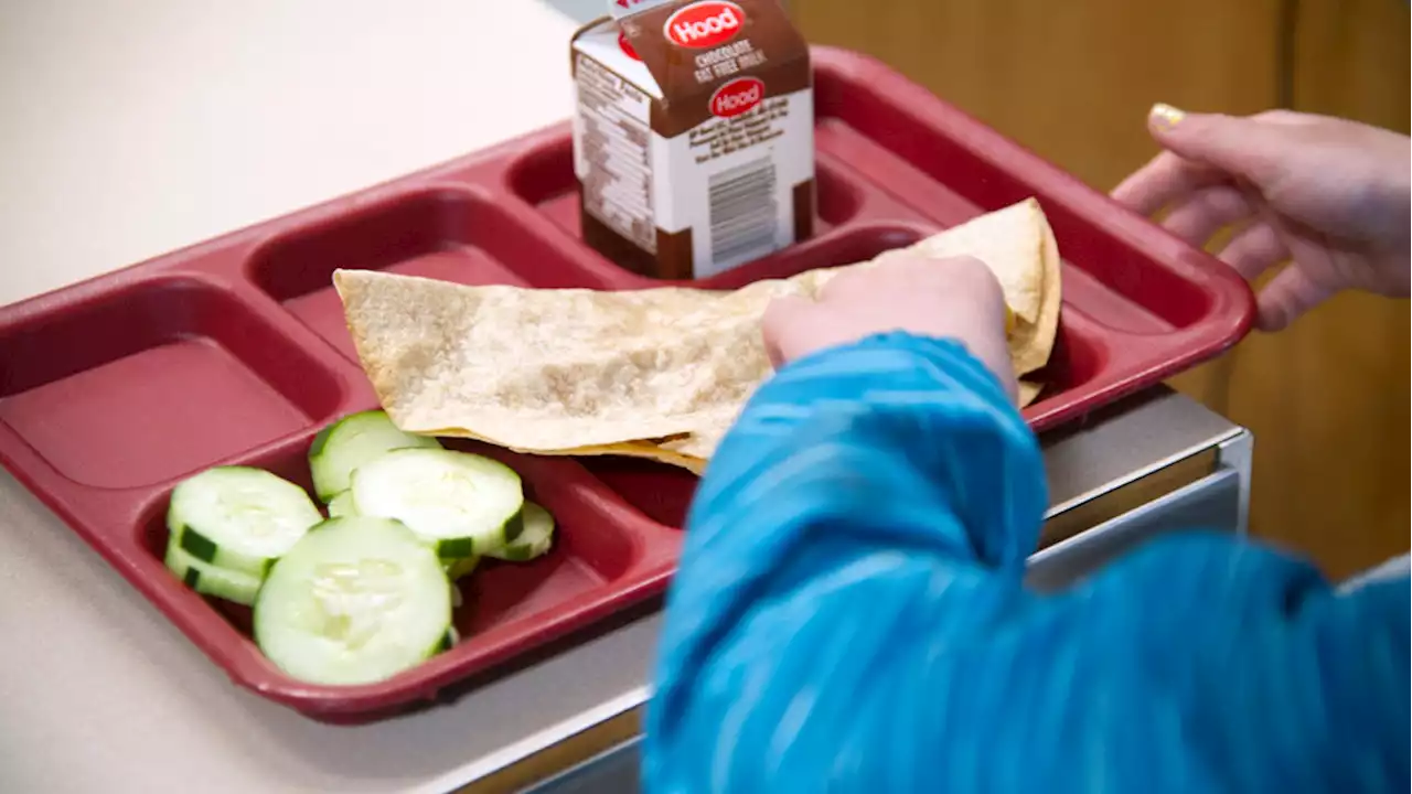 Pennsylvania school district aims to make trying new, healthy foods more exciting this school year