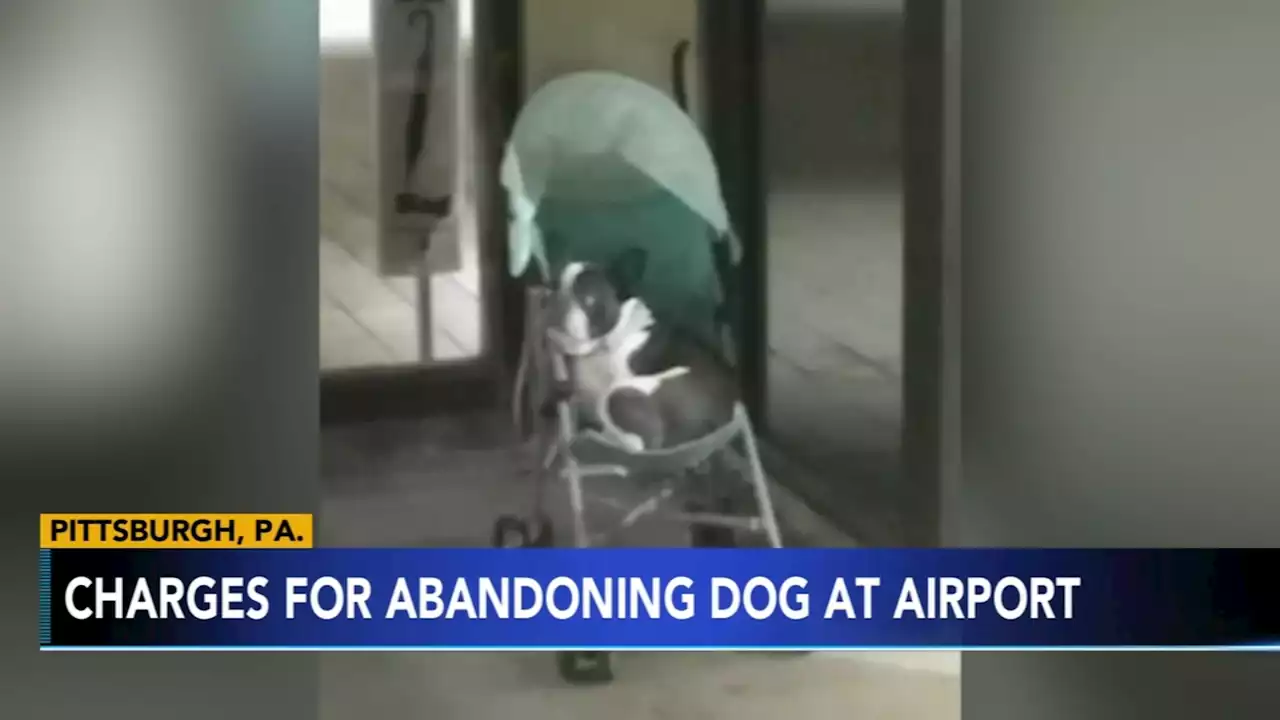 Charges filed against woman accused of leaving dog at airport before vacation