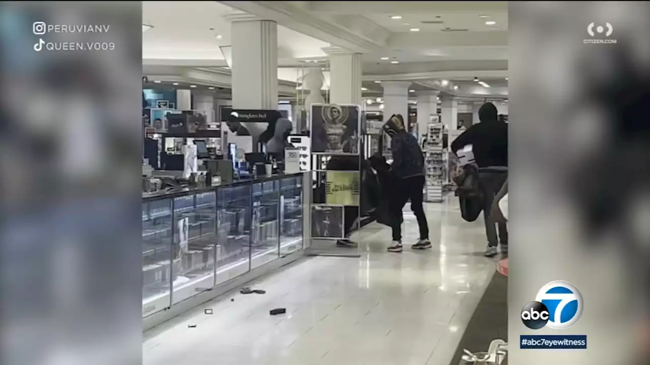 Flash mob targets Sherman Oaks Macy's in smash-and-grab robbery caught on video