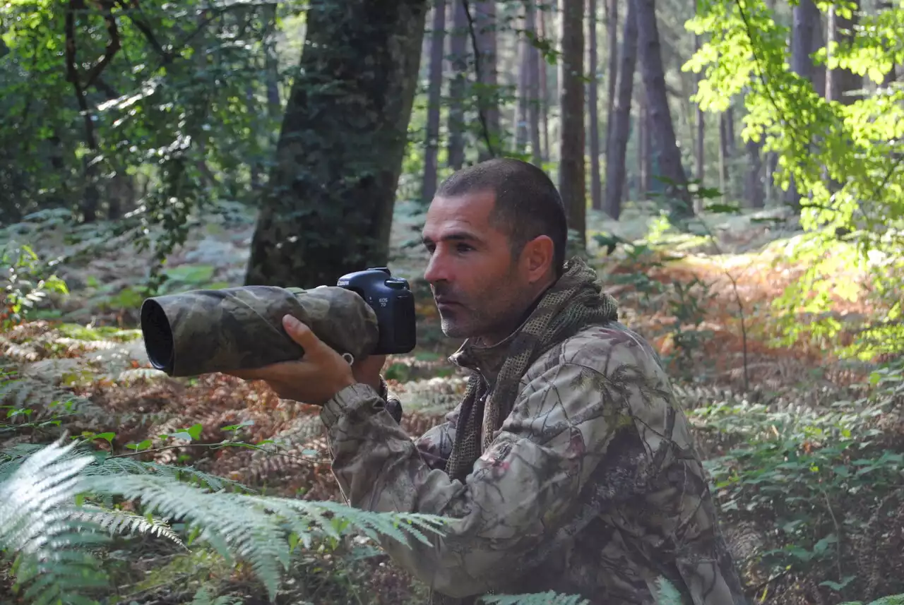 Forêt de Fontainebleau : Yannick Dagneau, la photo pour sensibiliser sur la fragilité du massif