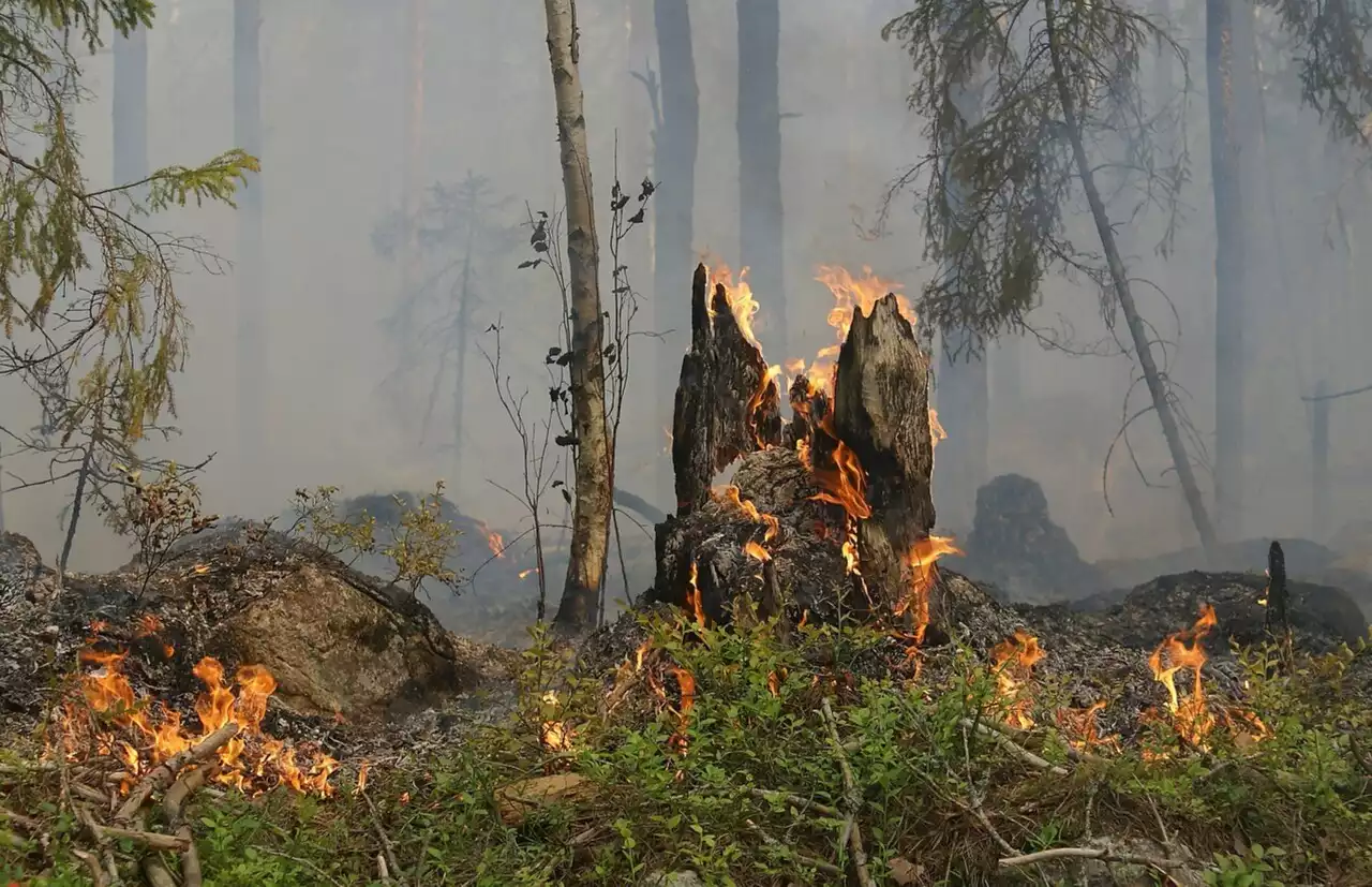 Lutte contre les feux de forêt dans l'Aisne : Gérald Darmanin annonce 1,3 million d'euros d'aide