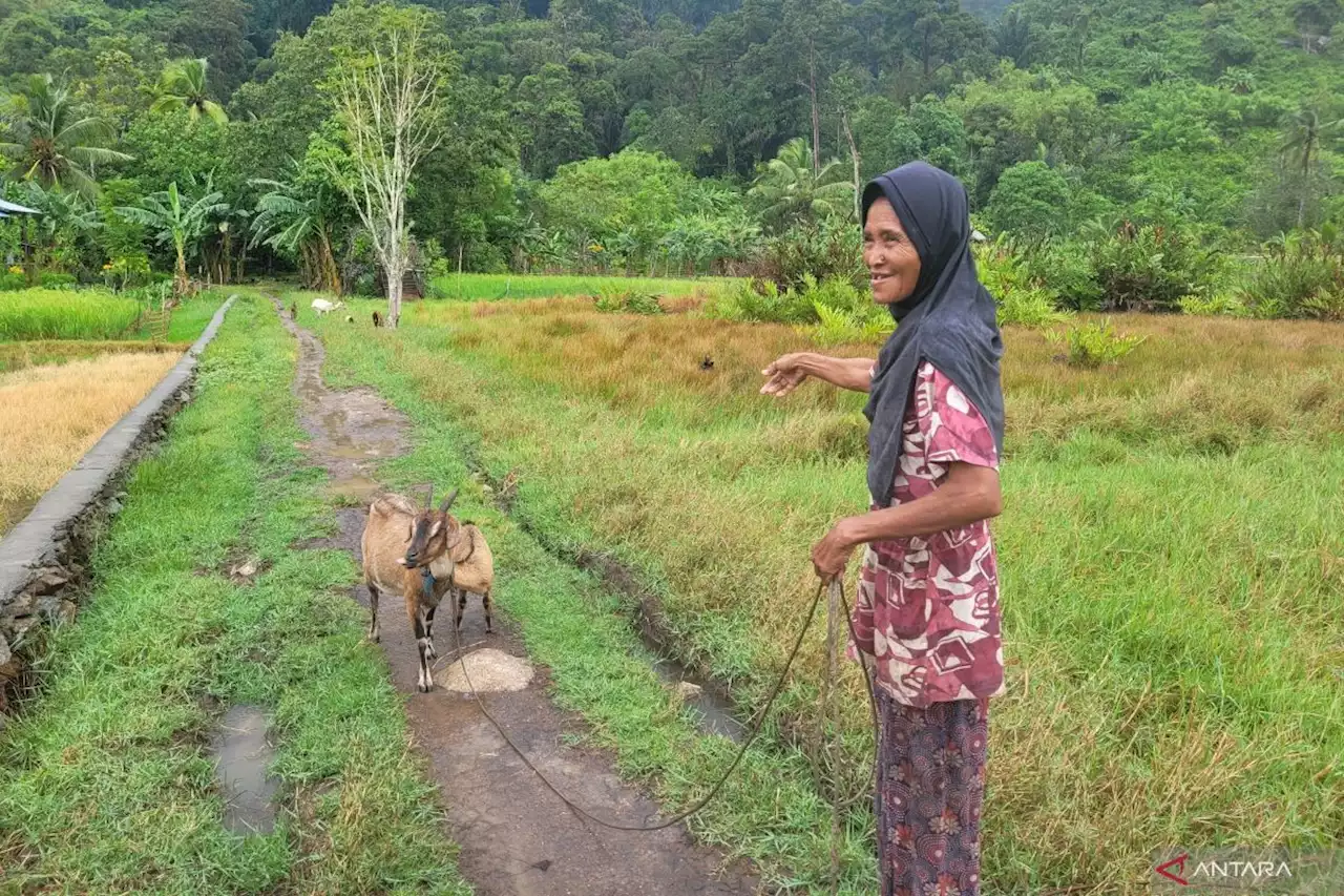 ASRI berdayakan janda di Kayong Utara melalui 'Kambing Untuk Janda'